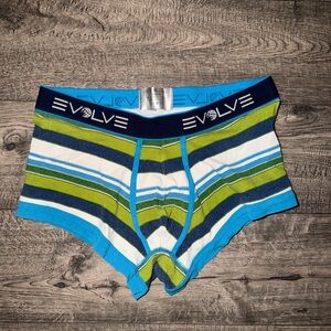 Men's Striped Boxer Briefs - Blue and Green